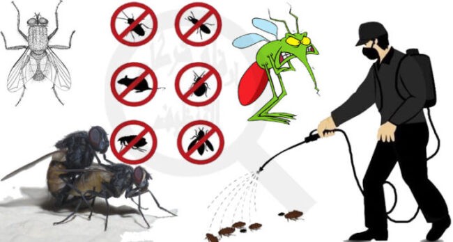 مكافحة حشرات ورش مبيدات